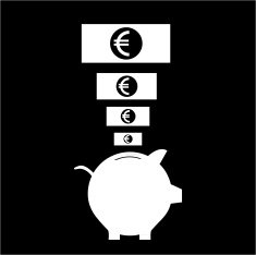 Piggy Bank Icon N12