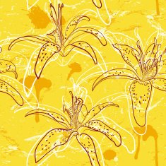 Lilly Pattern