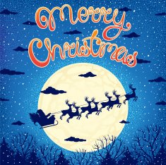santa's sleigh N13