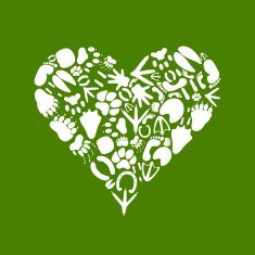 Heart of an animal