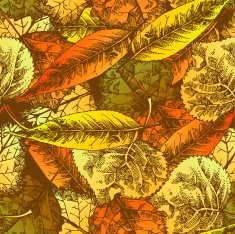 Seamless pattern with autumn leafs N2