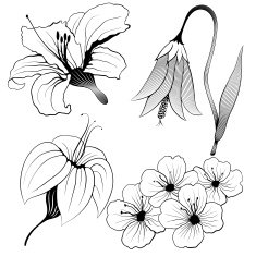 Vector flowers set N2