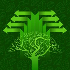 concept of an ecological theme