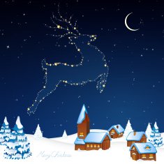 Vector Christmas Background N36