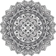 Beautiful ornament N55