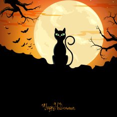 Vector Halloween Background N66