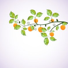 Green branch with apples Seasonal background