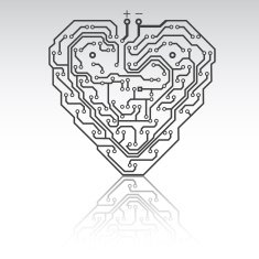 heart N372