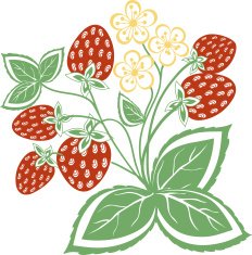 abstract strawberry with leaves N2