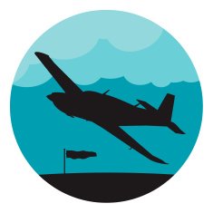 Airplane Icon N33