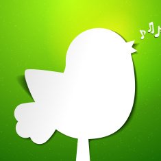 Bird applique N2