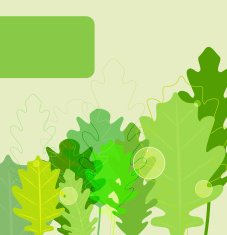 Green Leafs N12
