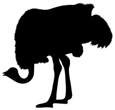 ostrich N18