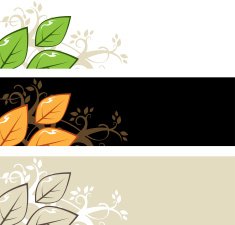 Abstract background with leaves N3
