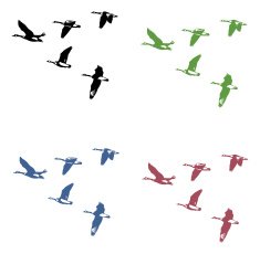 Canada Geese in Flight