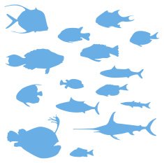 Many different fish to use in your design