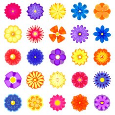 Colorful vector flowers set
