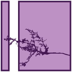 Plant Silhouette N14