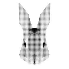 abstract monochrome rabbit portrait of circles isolated on white background N2