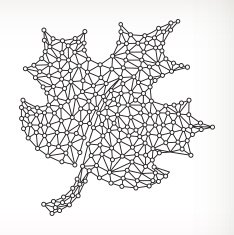 Maple Leaf on triangular node royaltfree vecotr graphic