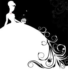 beautiful bride banner