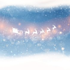 Vector Christmas Background N39