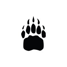 Bear footprint N2