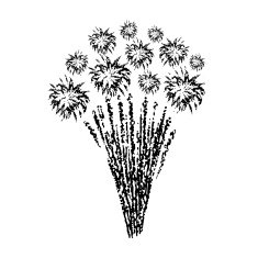 Firework N14