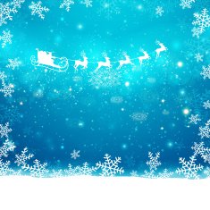 Vector Christmas Design N7