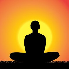 Vector silhouette of woman N407