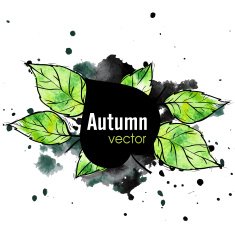autumn leaf background N40