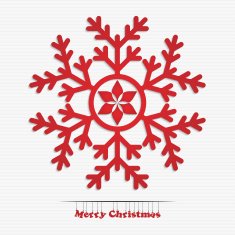 Snowflake N57