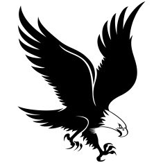 Eagle N24