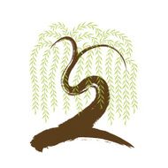 vector artistic brushwork willow tree
