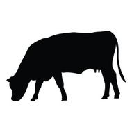 Cow Silhouette - VECTOR