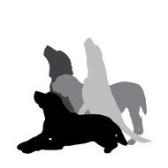Vector silhouette of a dog N179