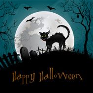 Halloween Party Background N11