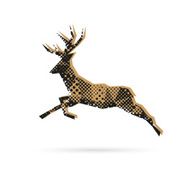 Deer abstract isolated on a white backgrounds vector illustration