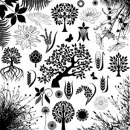 Trees and plants N6