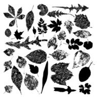 Black silhouettes of foliage-vector N2
