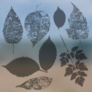 Vector collection of leaf silhouettes leaves N5