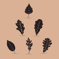 Set of leafs silhouettes