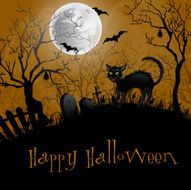 Halloween Party Background N12
