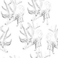 Sketch deer