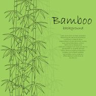 Bamboo Background N13
