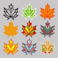 Set of different leaves