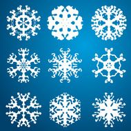 Snowflake icon Winter theme snowflakes of different shapes N28