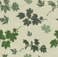 maple leaves N23