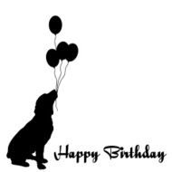 happy birthday N596