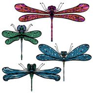 Set of four hand drawn dragonflies